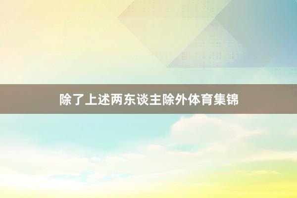 除了上述两东谈主除外体育集锦