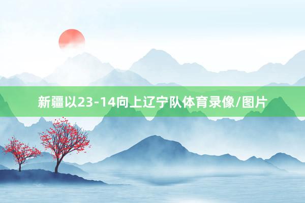 新疆以23-14向上辽宁队体育录像/图片