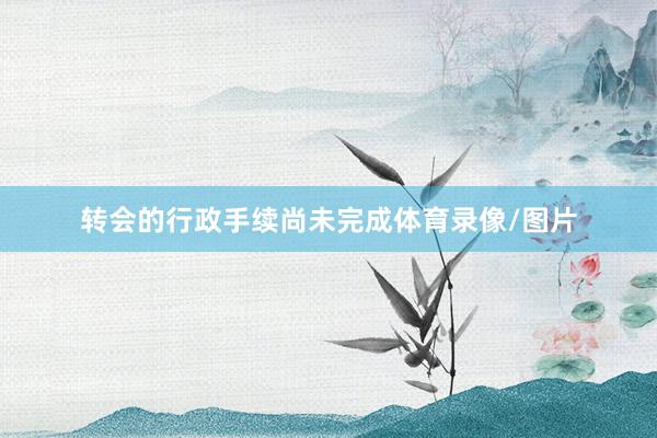 转会的行政手续尚未完成体育录像/图片