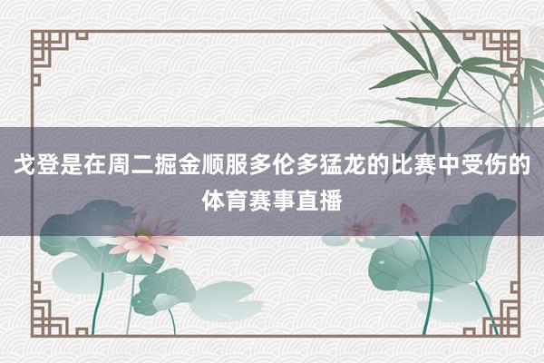 戈登是在周二掘金顺服多伦多猛龙的比赛中受伤的体育赛事直播