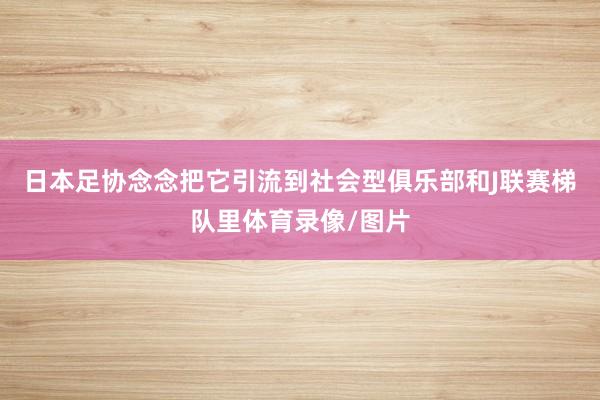 日本足协念念把它引流到社会型俱乐部和J联赛梯队里体育录像/图片