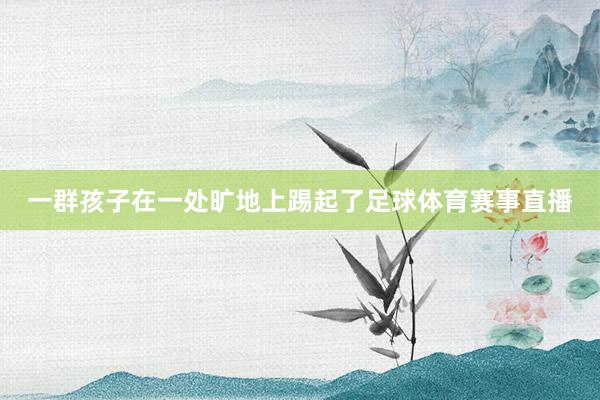 一群孩子在一处旷地上踢起了足球体育赛事直播