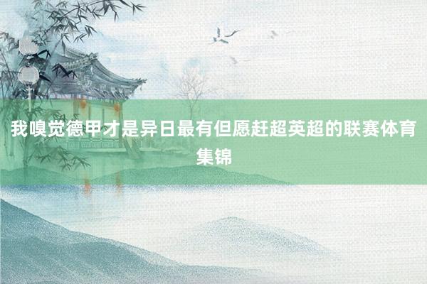 我嗅觉德甲才是异日最有但愿赶超英超的联赛体育集锦