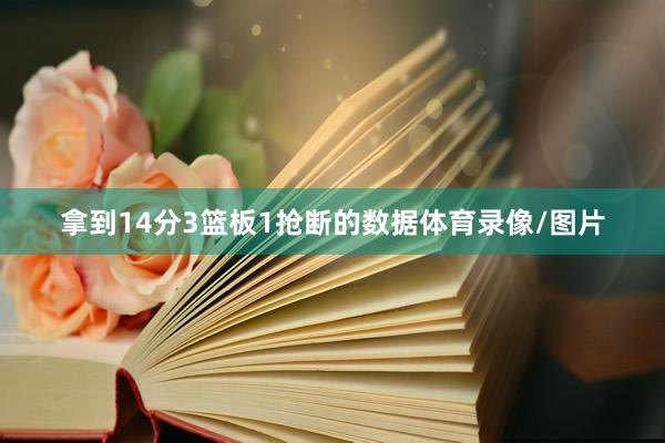 拿到14分3篮板1抢断的数据体育录像/图片