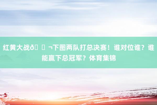 红黄大战💬下图两队打总决赛！谁对位谁？谁能赢下总冠军？体育集锦