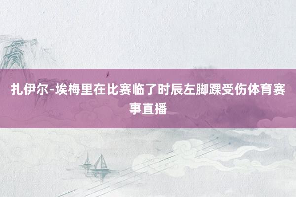 扎伊尔-埃梅里在比赛临了时辰左脚踝受伤体育赛事直播