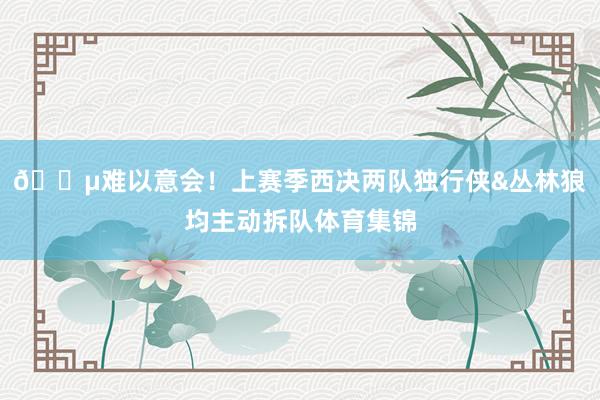 😵难以意会！上赛季西决两队独行侠&丛林狼均主动拆队体育集锦