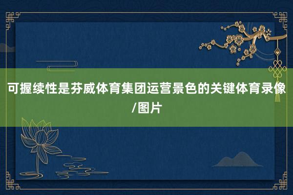 可握续性是芬威体育集团运营景色的关键体育录像/图片