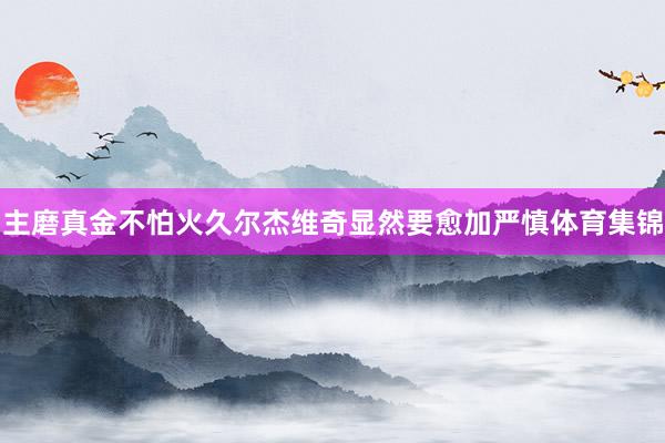 主磨真金不怕火久尔杰维奇显然要愈加严慎体育集锦