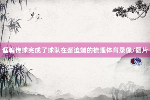 诓骗传球完成了球队在蹙迫端的梳理体育录像/图片