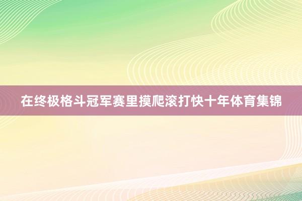 在终极格斗冠军赛里摸爬滚打快十年体育集锦