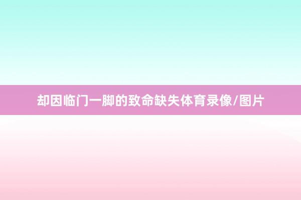 却因临门一脚的致命缺失体育录像/图片