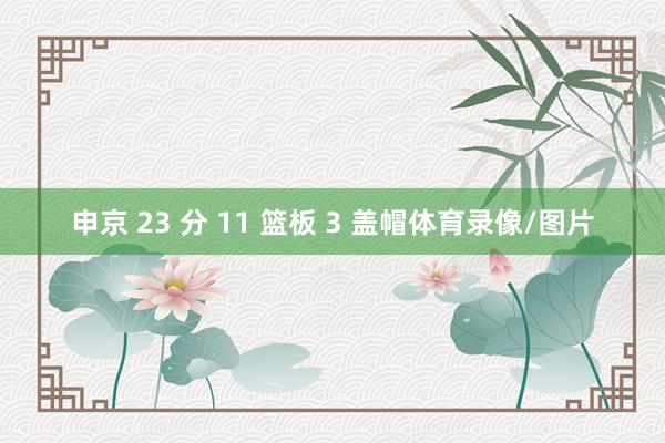 申京 23 分 11 篮板 3 盖帽体育录像/图片