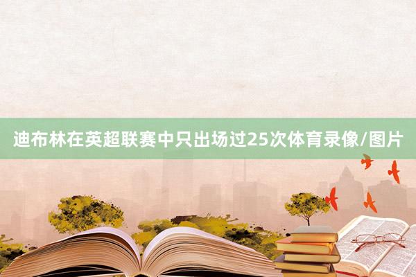 迪布林在英超联赛中只出场过25次体育录像/图片