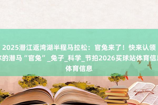 2025潜江返湾湖半程马拉松：官兔来了！快来认领你的潜马“官兔”_兔子_科学_节拍2026买球站体育信息