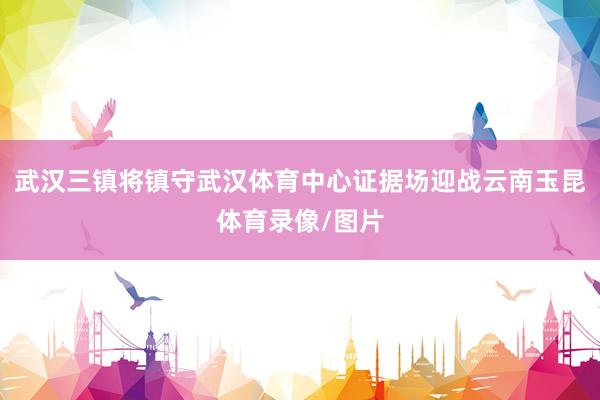武汉三镇将镇守武汉体育中心证据场迎战云南玉昆体育录像/图片