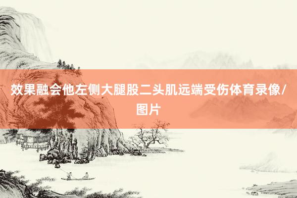 效果融会他左侧大腿股二头肌远端受伤体育录像/图片