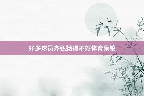 好多球员齐弘扬得不好体育集锦