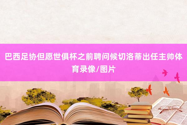 巴西足协但愿世俱杯之前聘问候切洛蒂出任主帅体育录像/图片