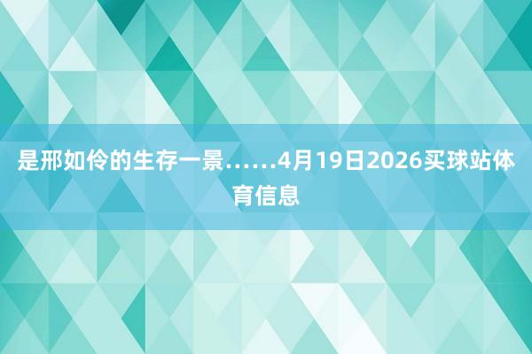 是邢如伶的生存一景……4月19日2026买球站体育信息