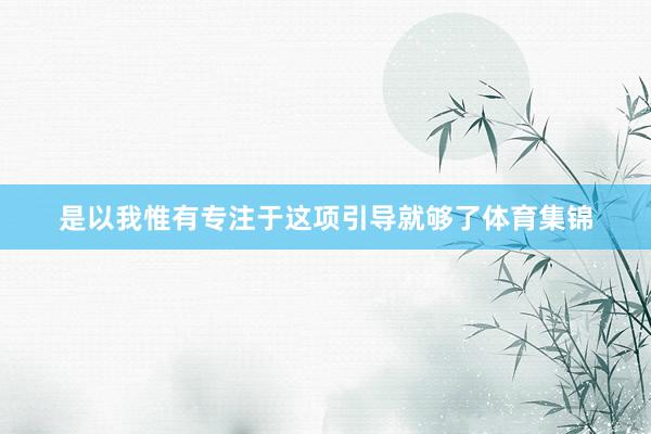 是以我惟有专注于这项引导就够了体育集锦