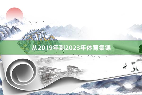 从2019年到2023年体育集锦