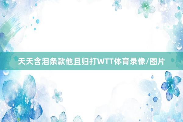 天天含泪条款他且归打WTT体育录像/图片
