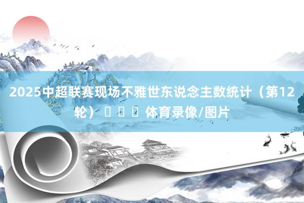 2025中超联赛现场不雅世东说念主数统计（第12轮） ​​​体育录像/图片