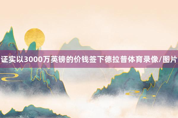 证实以3000万英镑的价钱签下德拉普体育录像/图片