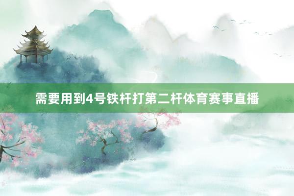 需要用到4号铁杆打第二杆体育赛事直播