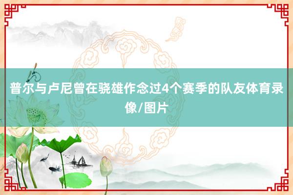 普尔与卢尼曾在骁雄作念过4个赛季的队友体育录像/图片