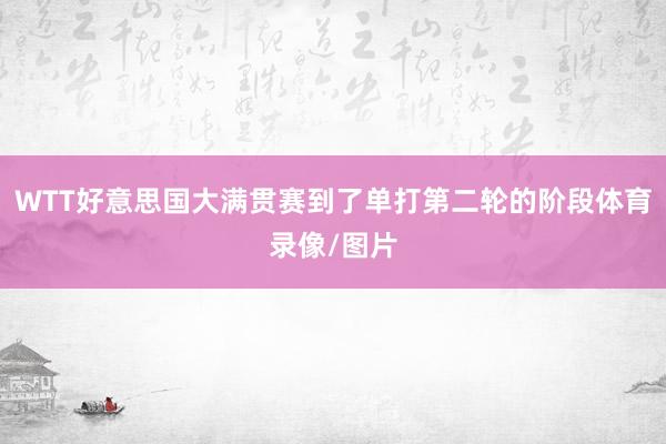 WTT好意思国大满贯赛到了单打第二轮的阶段体育录像/图片