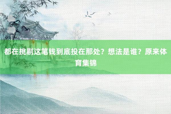 都在挑剔这笔钱到底投在那处？想法是谁？原来体育集锦