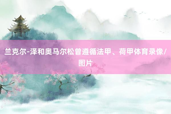 兰克尔-泽和奥马尔松曾遵循法甲、荷甲体育录像/图片