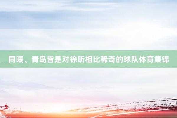 同曦、青岛皆是对徐昕相比稀奇的球队体育集锦