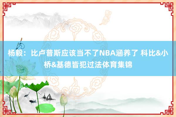 杨毅：比卢普斯应该当不了NBA涵养了 科比&小桥&基德皆犯过法体育集锦
