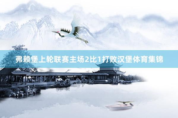弗赖堡上轮联赛主场2比1打败汉堡体育集锦