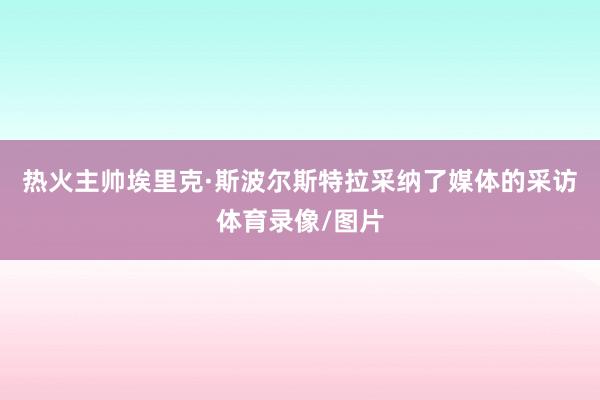 热火主帅埃里克·斯波尔斯特拉采纳了媒体的采访体育录像/图片