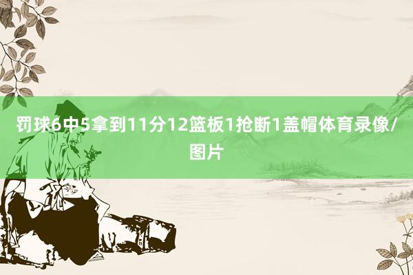 罚球6中5拿到11分12篮板1抢断1盖帽体育录像/图片