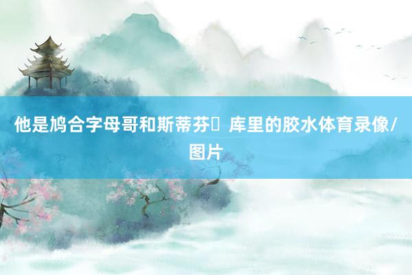 他是鸠合字母哥和斯蒂芬・库里的胶水体育录像/图片
