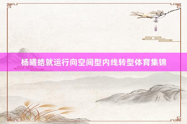 杨曦皓就运行向空间型内线转型体育集锦