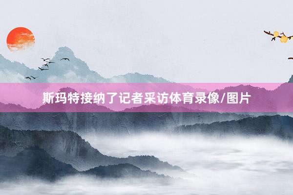 斯玛特接纳了记者采访体育录像/图片