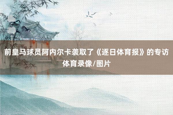 前皇马球员阿内尔卡袭取了《逐日体育报》的专访体育录像/图片