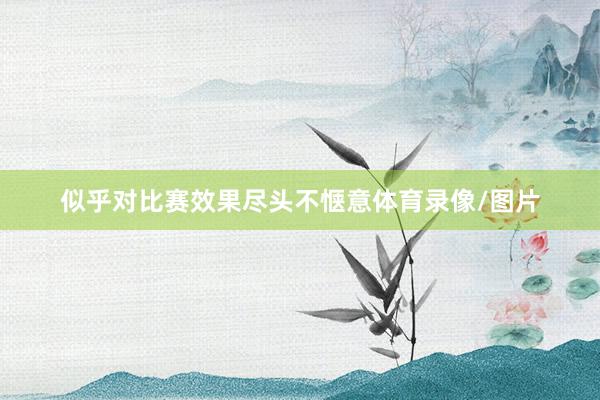 似乎对比赛效果尽头不惬意体育录像/图片