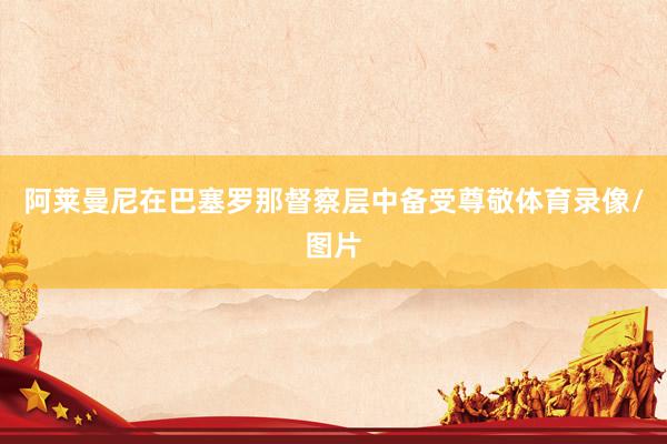 阿莱曼尼在巴塞罗那督察层中备受尊敬体育录像/图片
