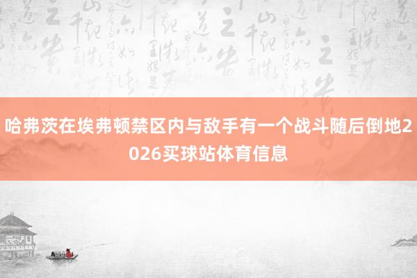 哈弗茨在埃弗顿禁区内与敌手有一个战斗随后倒地2026买球站体育信息