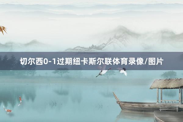 切尔西0-1过期纽卡斯尔联体育录像/图片