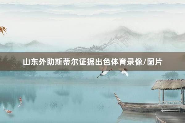 山东外助斯蒂尔证据出色体育录像/图片