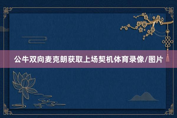 公牛双向麦克朗获取上场契机体育录像/图片