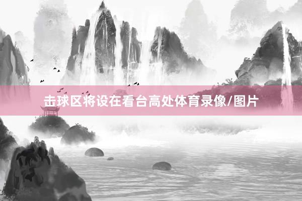 击球区将设在看台高处体育录像/图片